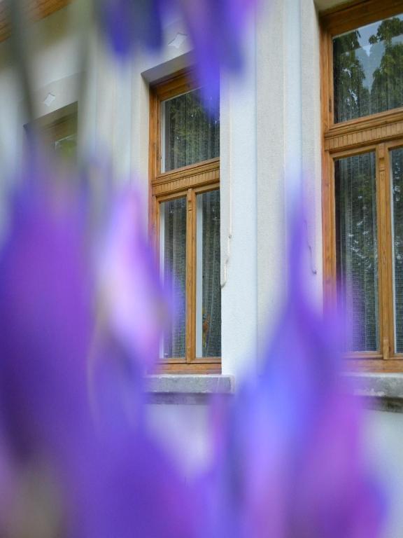 Hotel Turjan Vendeghaz Erdőbénye Exterior foto