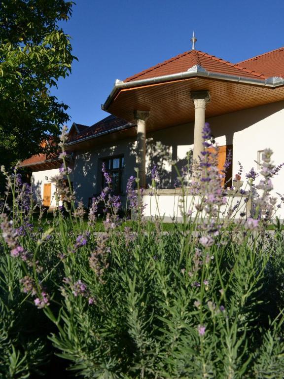 Hotel Turjan Vendeghaz Erdőbénye Exterior foto