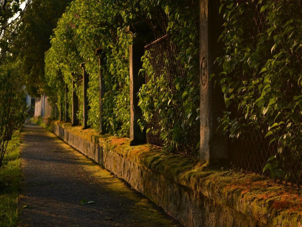 Hotel Turjan Vendeghaz Erdőbénye Exterior foto